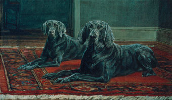 oil portrait of two dogs